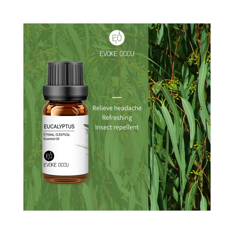 Foto Óleo Essencial de Eucalipto (Eucalyptus) - 10 ML