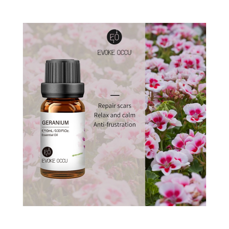 Foto Óleo Essencial de Gerânio (Geranium) - 10 ML