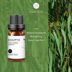 Foto Óleo Essencial de Eucalipto (Eucalyptus) - 10 ML